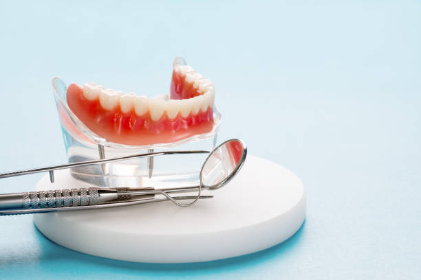  Baudette, MN Holistic Dental Services Pros
